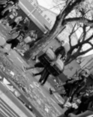 Colón repudió públicamente el robo de dos butacas de la platea