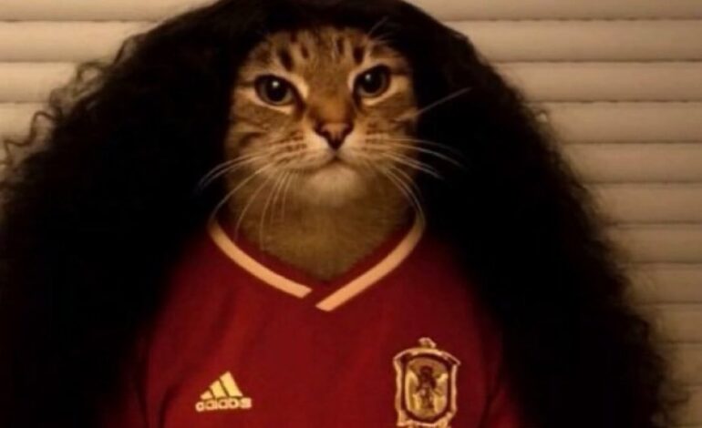 Los mejores memes de la eliminación de Francia y el pase de España a la final